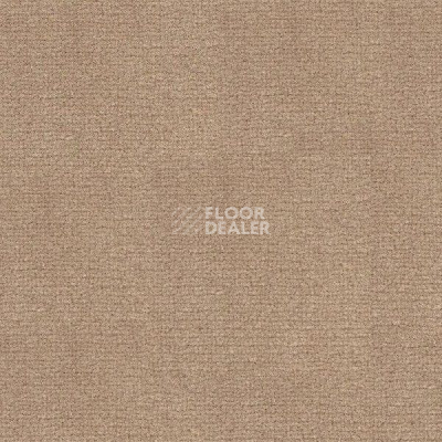 Ковролин Radici Abetone Nocciola 4974 фото 1 | FLOORDEALER